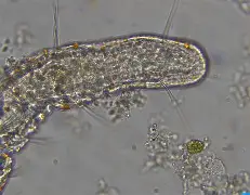 eB(麖??顠-九游体育平台